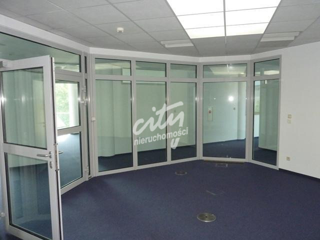 Lokal Wynajem Szczecin Centrum 13