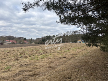 Działka Sprzedaż Kikorze