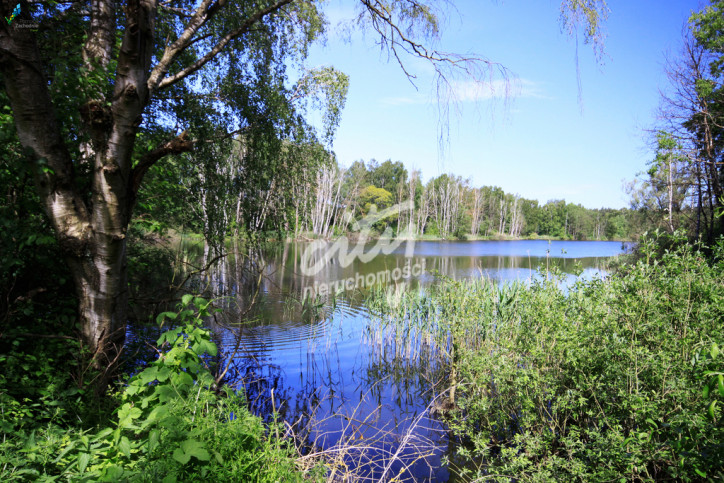 Działka Sprzedaż Bartoszewo 4