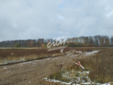 Działka Sprzedaż Dobropole Gryfińskie