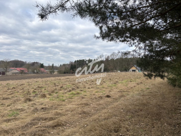 Działka Sprzedaż Kikorze
