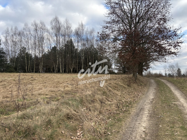 Działka Sprzedaż Kikorze 9