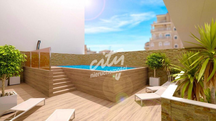 Mieszkanie Sprzedaż Torrevieja centrum Murcja Calle Gumersindo 21
