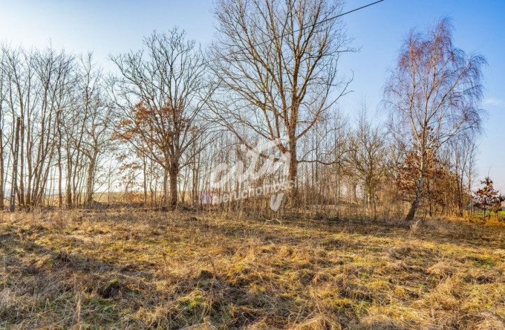 Działka Sprzedaż Ścienne 8
