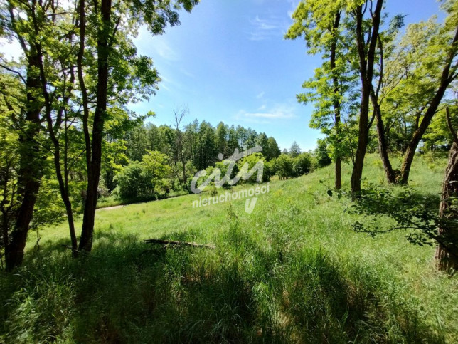Działka Sprzedaż Stary Błeszyn 4