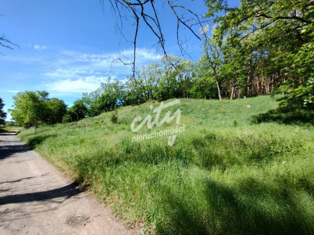 Działka Sprzedaż Stary Błeszyn 7
