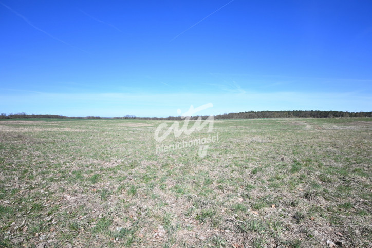 Działka Sprzedaż Buk 2