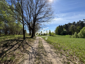 Działka Sprzedaż Kikorze