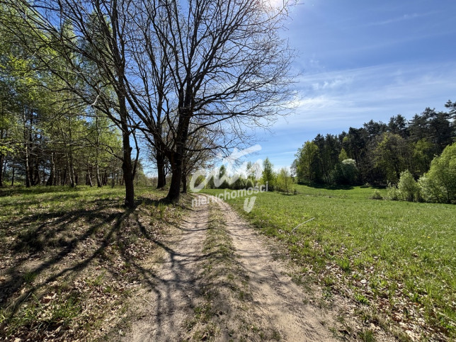 Działka Sprzedaż Kikorze 4