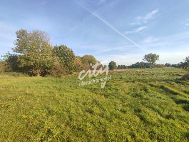 Działka Sprzedaż Żarnowo 1