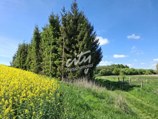 Działka Sprzedaż Parsów 2