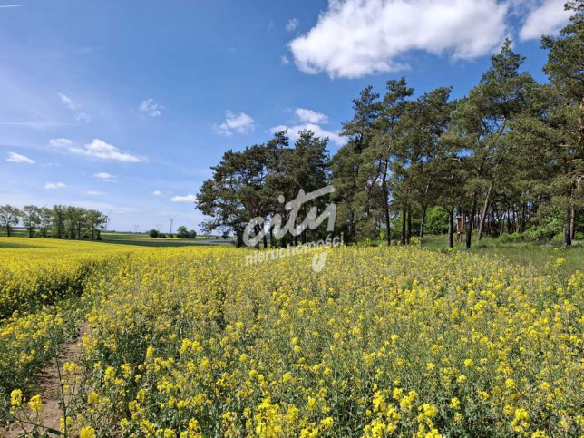 Działka Sprzedaż Parsów 4