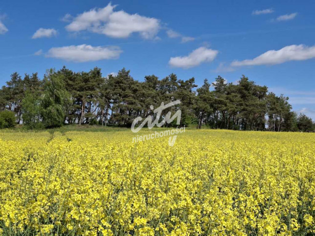 Działka Sprzedaż Parsów 1