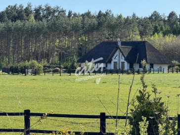 Dom Sprzedaż Kamień Pomorski