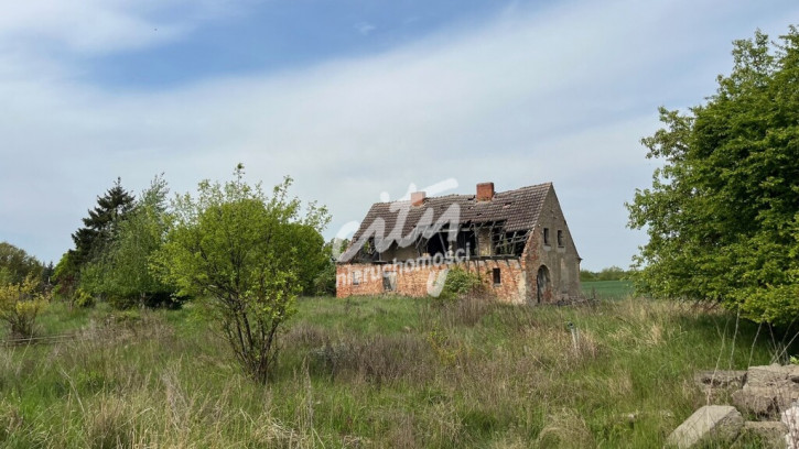 Działka Sprzedaż Plöwen, Löcknitz-Penkun, Vorpommern-Greifswald, Meklemburgia-Pomorze Przednie, 17322, Niemcy retziner weg 13
