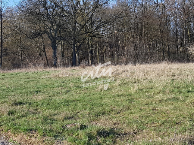 Działka Sprzedaż Kościno 6