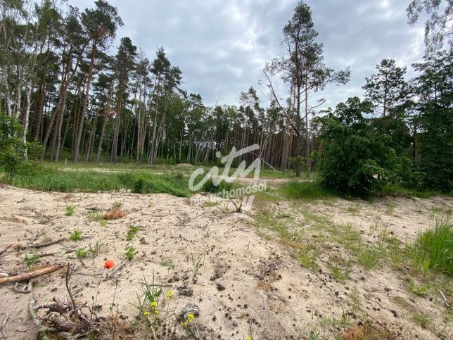 Działka Sprzedaż Dziwnówek 8