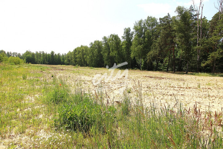 Działka Sprzedaż Grabowo 2
