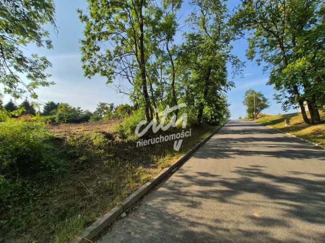 Działka Sprzedaż Kamieniec 3