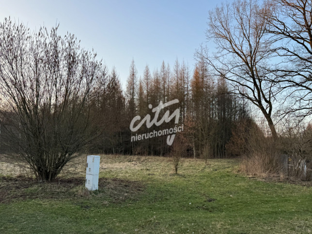 Działka Sprzedaż Błotno Błotny Młyn 5