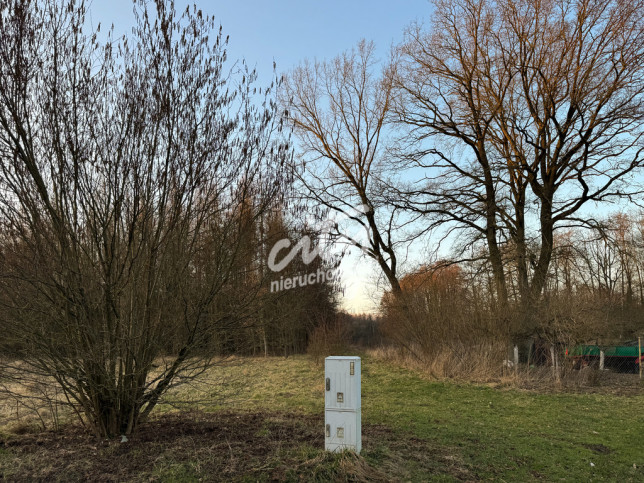 Działka Sprzedaż Błotno Błotny Młyn 6