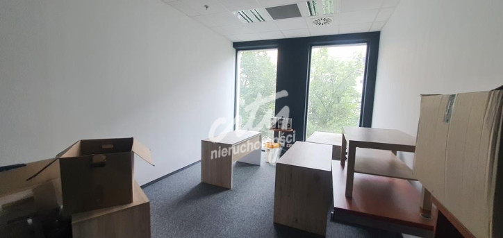 Lokal Wynajem Szczecin Centrum 8
