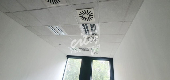 Lokal Wynajem Szczecin Centrum 10