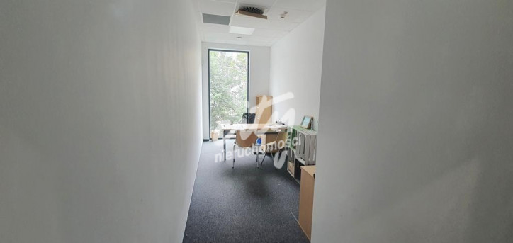 Lokal Wynajem Szczecin Centrum 12