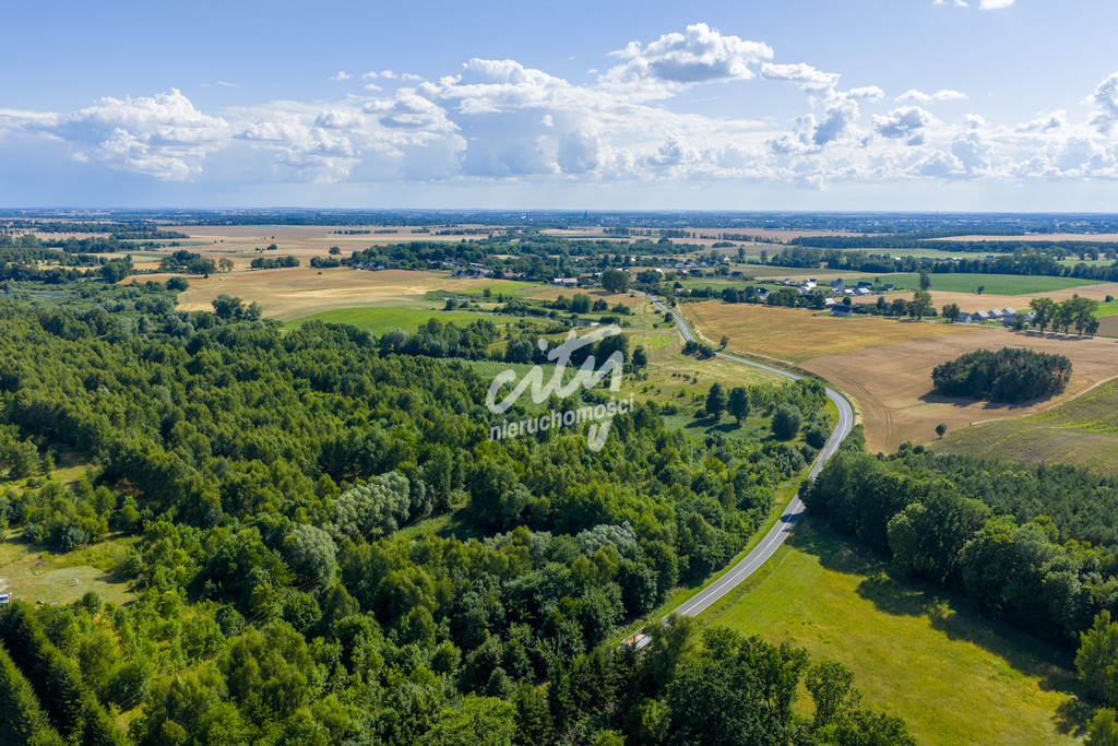 Działka Sprzedaż Grabowo