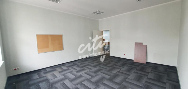 Lokal Wynajem Szczecin Centrum 13