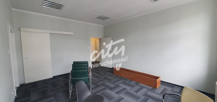 Lokal Wynajem Szczecin Centrum 18