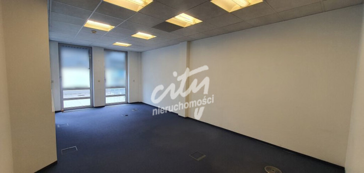 Lokal Wynajem Szczecin Centrum 4