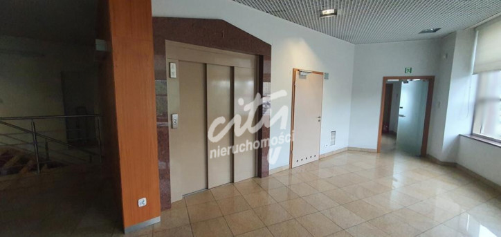 Lokal Wynajem Szczecin Śródmieście-Centrum 3