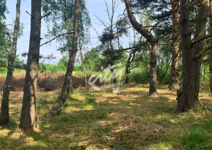 Działka Sprzedaż Międzywodzie 5