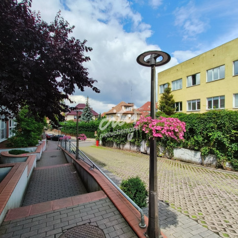 Mieszkanie Wynajem Szczecin Śródmieście Lutniana 18