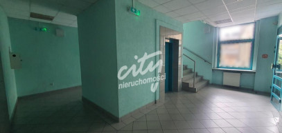 Lokal Wynajem Szczecin Centrum