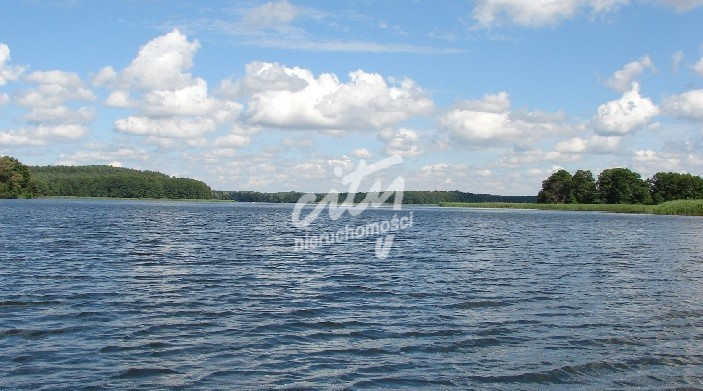 Działka Sprzedaż Dąbrowica 1