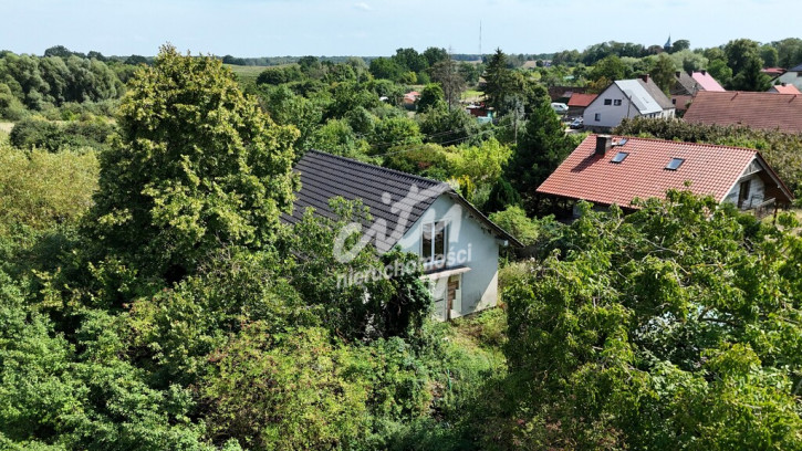 Dom Sprzedaż Gogolice 10