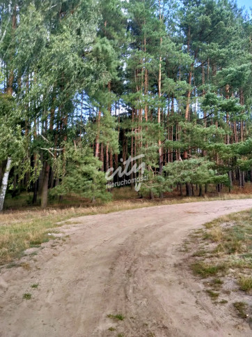 Działka Sprzedaż Tanowo Szczecińska 3