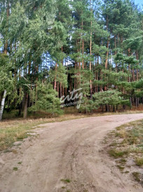 Działka Sprzedaż Tanowo Szczecińska