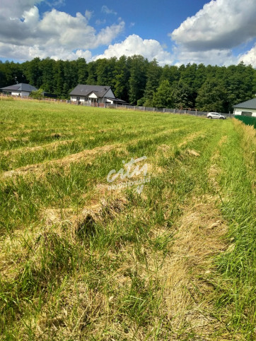 Działka Sprzedaż Grzepnica 3