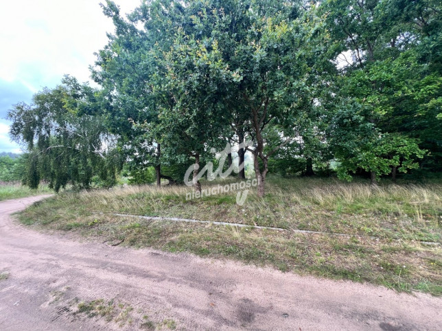 Działka Sprzedaż Storkowo 3