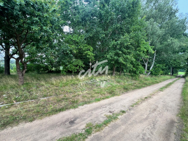 Działka Sprzedaż Storkowo 4