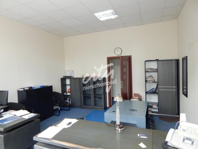 Lokal Wynajem Szczecin Śródmieście-Centrum 3