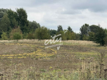 Działka Sprzedaż Stara Dąbrowa