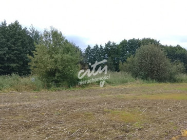 Działka Sprzedaż Stara Dąbrowa