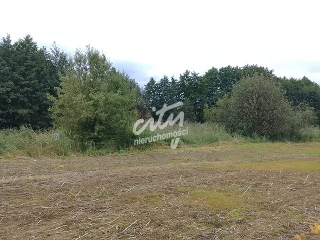 Działka Sprzedaż Stara Dąbrowa 13