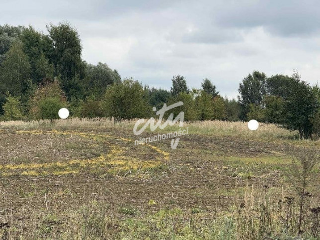 Działka Sprzedaż Stara Dąbrowa 3