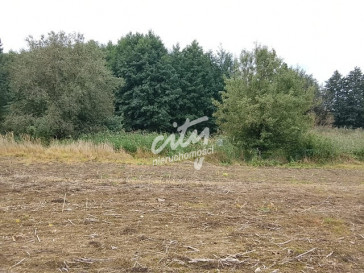 Działka Sprzedaż Stara Dąbrowa