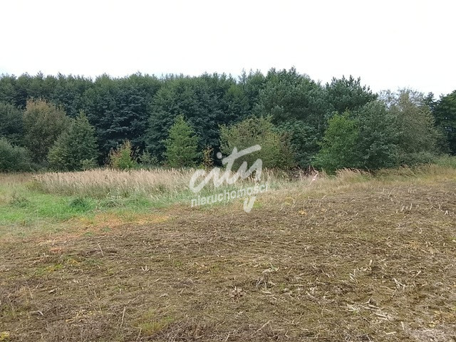 Działka Sprzedaż Stara Dąbrowa 15